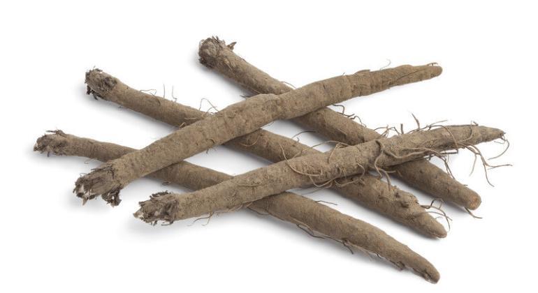 Burdock root