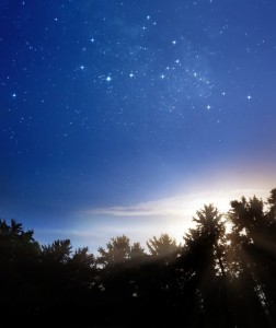 Day and Night